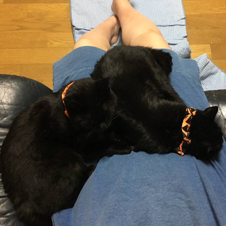 Fdc2b8c0 1958 4ad3 9058 75e7234ceed0 1540559715061