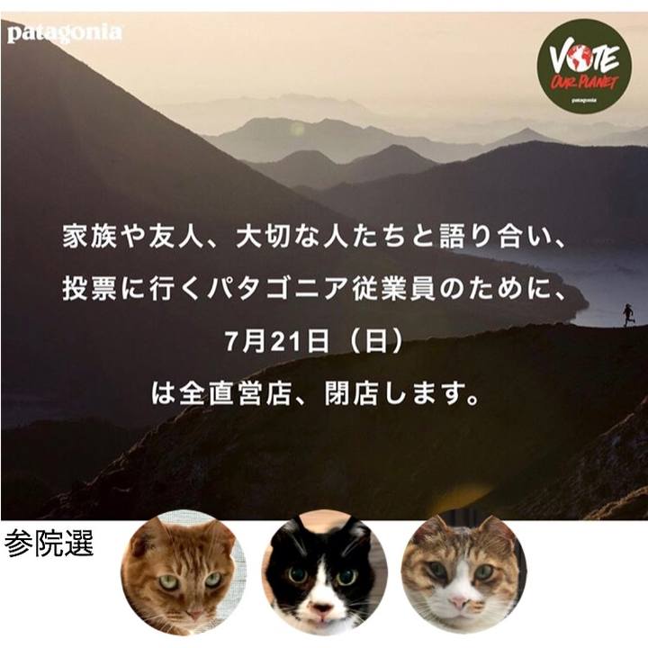 Fdc2d799 6965 4164 9a93 b54990d3ff5d 1562157834043