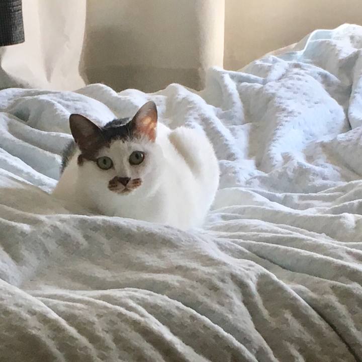 Fdc3303a 32b0 4cc5 8642 6a3fc96f14cd 1545270914061