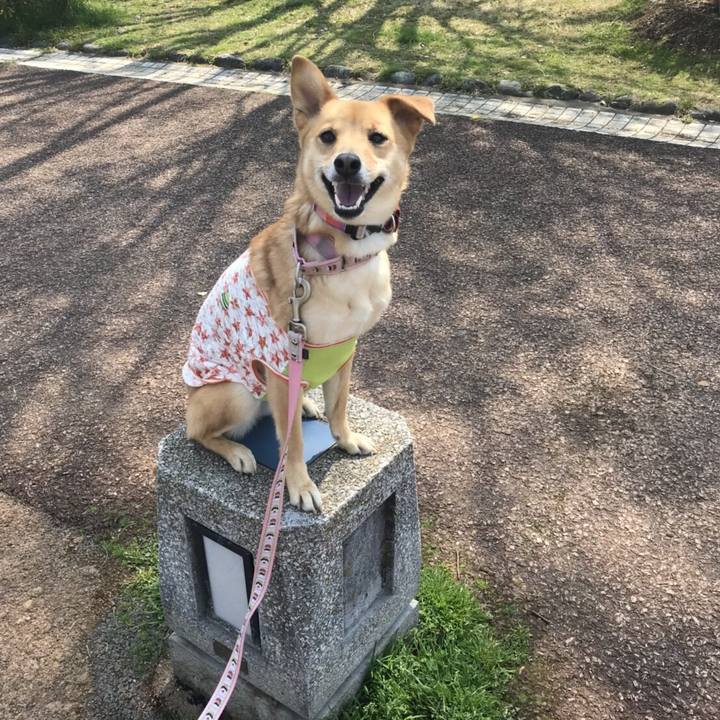 Fdc3802c bd71 4b05 a710 19b41df481e9 1522212732365