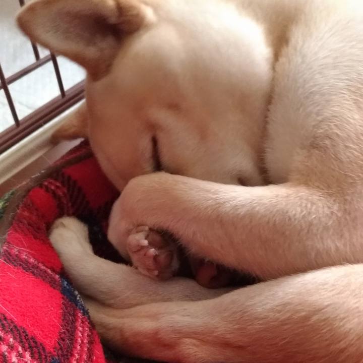 Fdc3a8c6 d87e 450a b7ee 8b482f1bab13 1540957544432