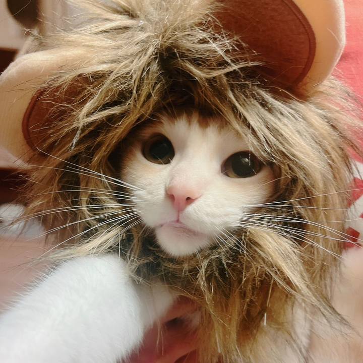 Fdc3be70 8b80 4e6f aa89 d57cd0352b38 1687873227353