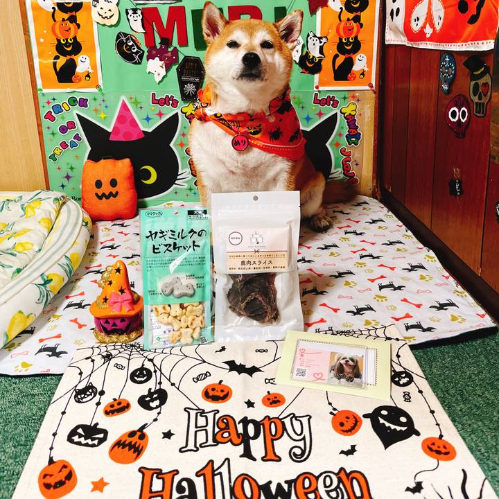 Fdc3c2e6 6753 4220 8462 103c4229a660 1663674514618