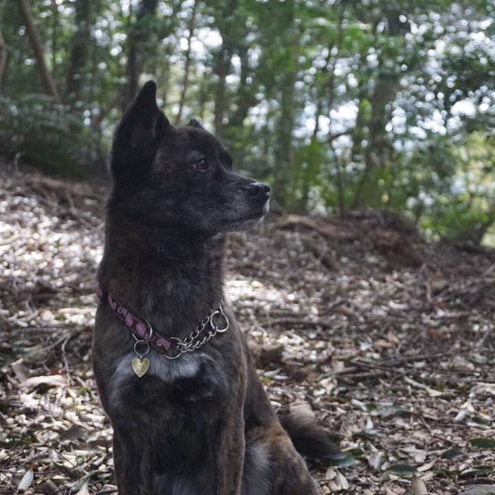 Fdc3fb89 b3da 4597 a755 81763137f412 1524754571918