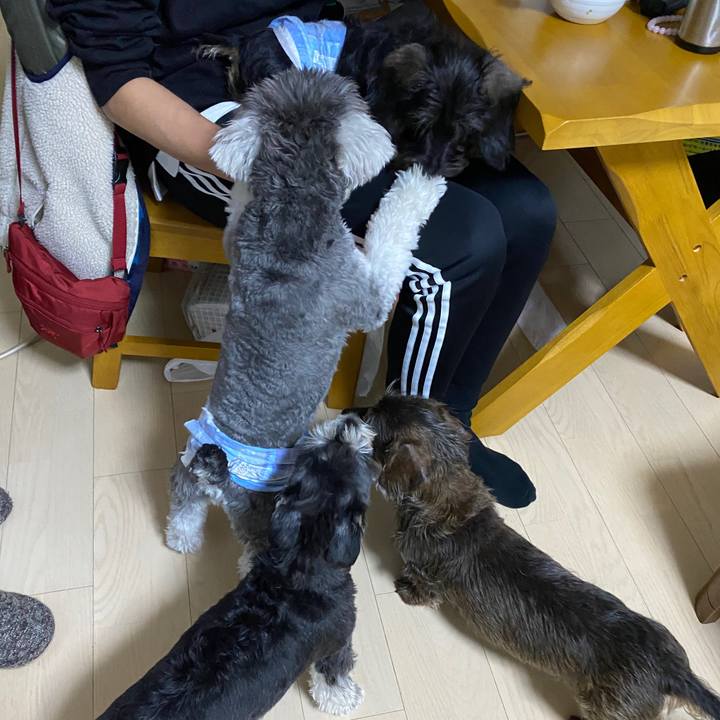 Fdc41bcb 0e72 4e15 a3ea 34a542f983c4 1586350333467