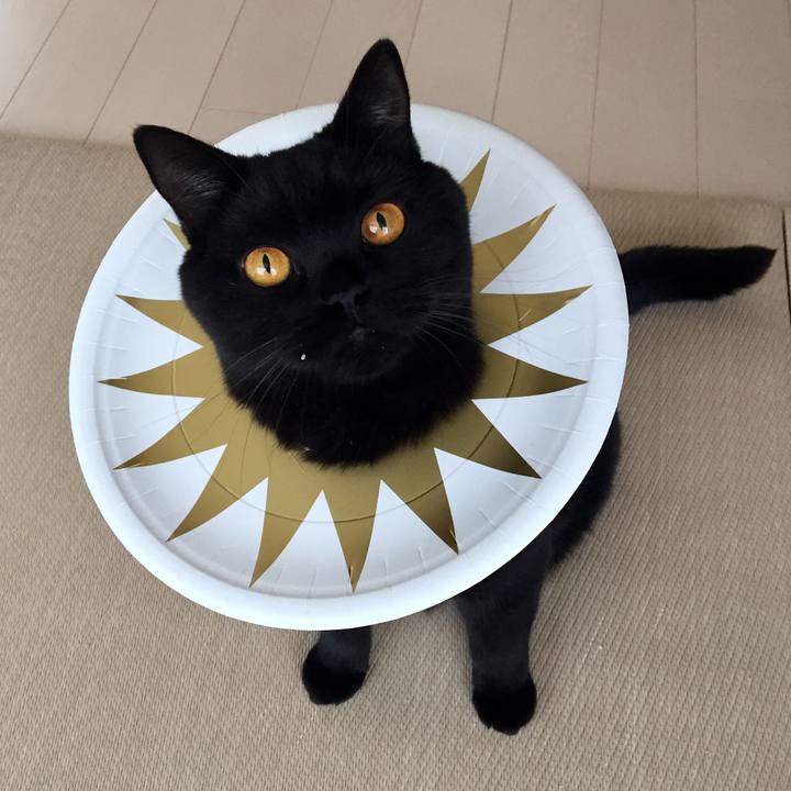 Fdc446eb a199 448f 9441 efa593e327da 1539558197635