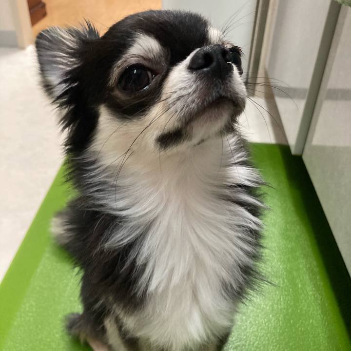 Fdc45125 8675 4968 8012 a504d8a1139d 1621086168465