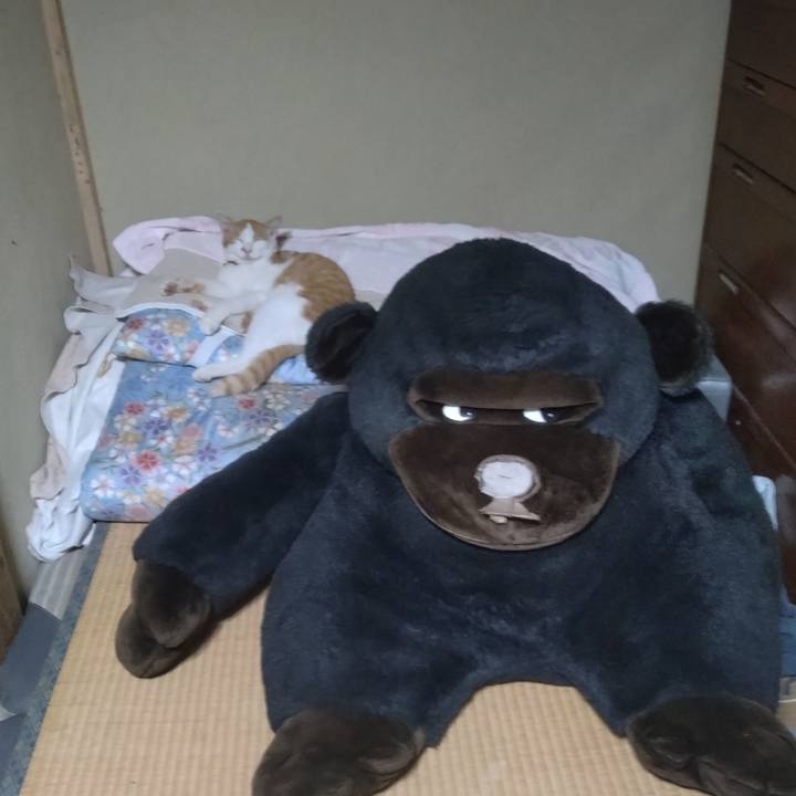 Fdc4614d 1d52 41cc beb1 a8c083b93694 1756900582964