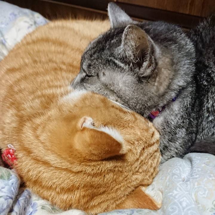 Fdc46892 359d 46b9 81c2 96f9f4032169 1579266959628