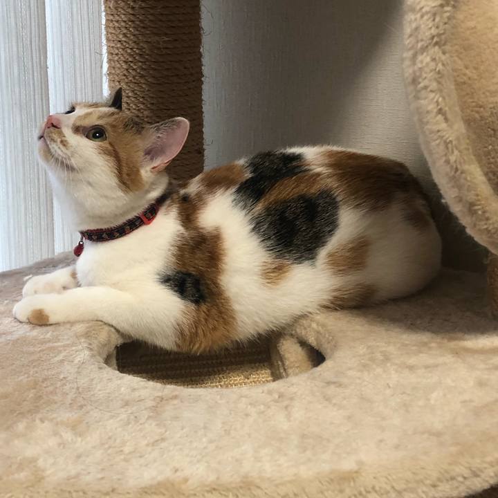 Fdc4696b 162d 47a7 ac7a 7ee7d772d405 1574897878746