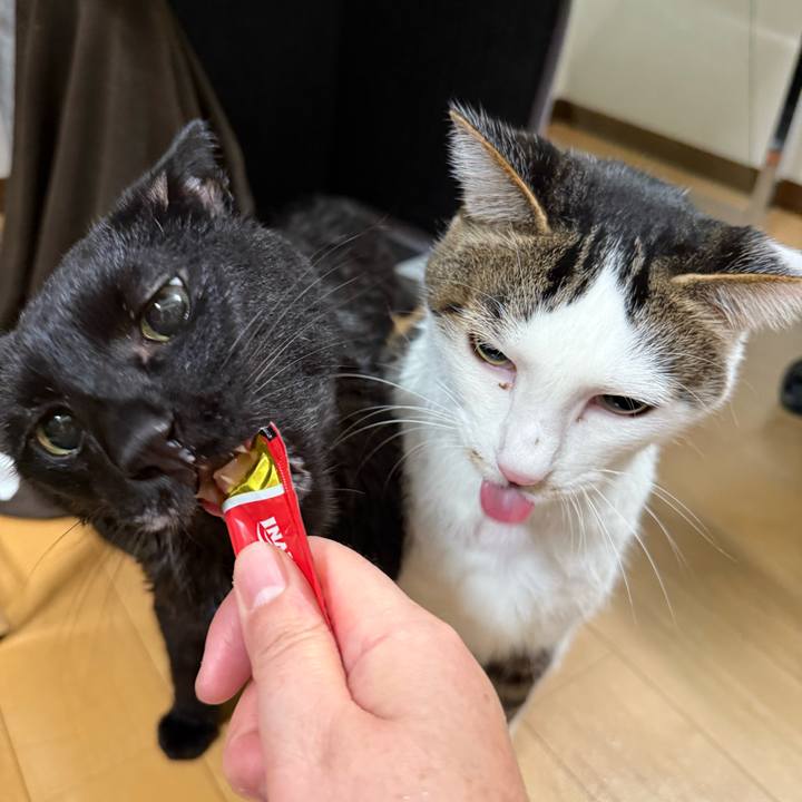 Fdc469e1 2e37 4ef8 9a74 7b4ea47349f3 1767171925590