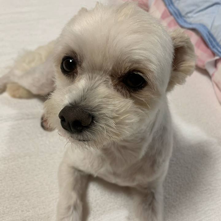 Fdc49203 86b8 461d af1a 7d29a0ff94ce 1594635907564