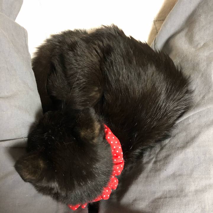 Fdc4dc4d c789 4da2 84e3 52800ca4b601 1558191952738