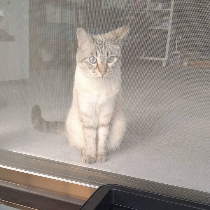 Fdc4f934 244f 4bb5 acd1 ac9f31ce8d36 1620117785643