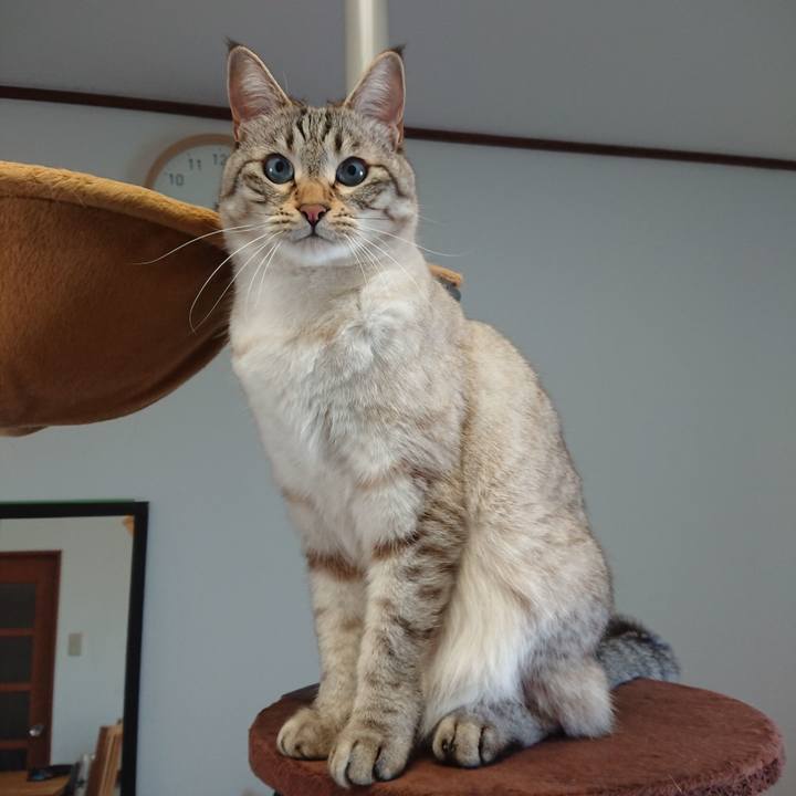 Fdc50170 cf41 4078 8f64 0b698392d73b 1557286291547