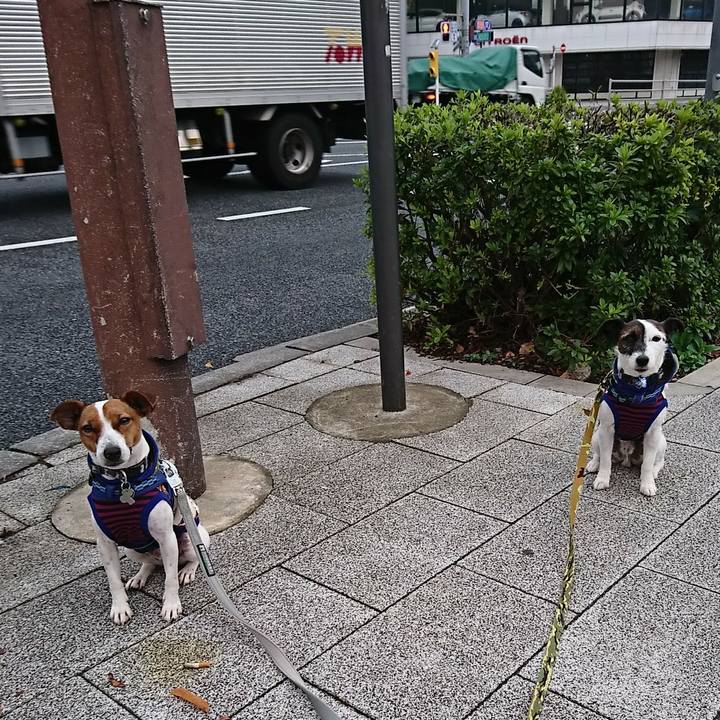 Fdc546c2 aa1f 4099 af96 154bc493d897 1542061057629