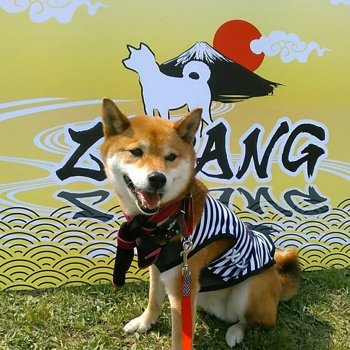 Fdc571bb 7c20 40f5 91a6 46438dfd49b9 1558883040624