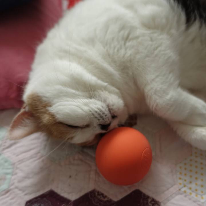 Fdc58a08 fd04 4ad9 8122 32704083dd07 1538233278347