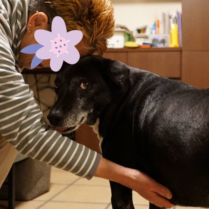 Fdc58a50 5ef1 456b a9b3 5c296e334818 1773313668736