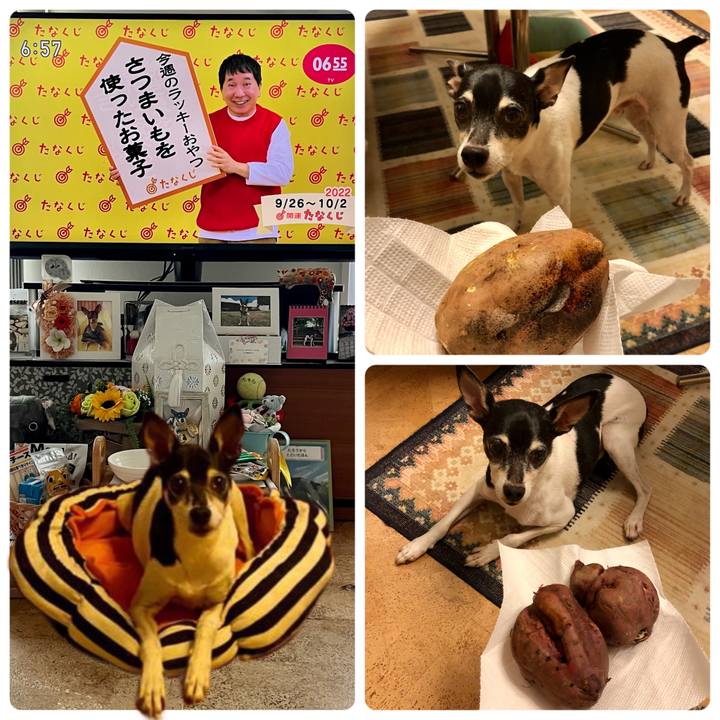 Fdc5c394 1fa9 4bbf b482 f1a7784a7f32 1664143705667