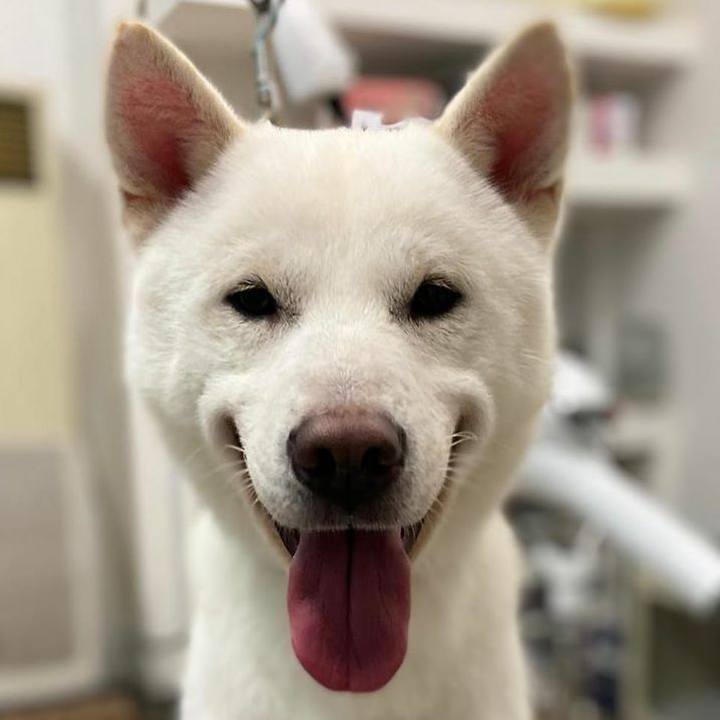 Fdc5db3c 21a5 407b b8d8 ca2fc29f7a5a 1580473756088