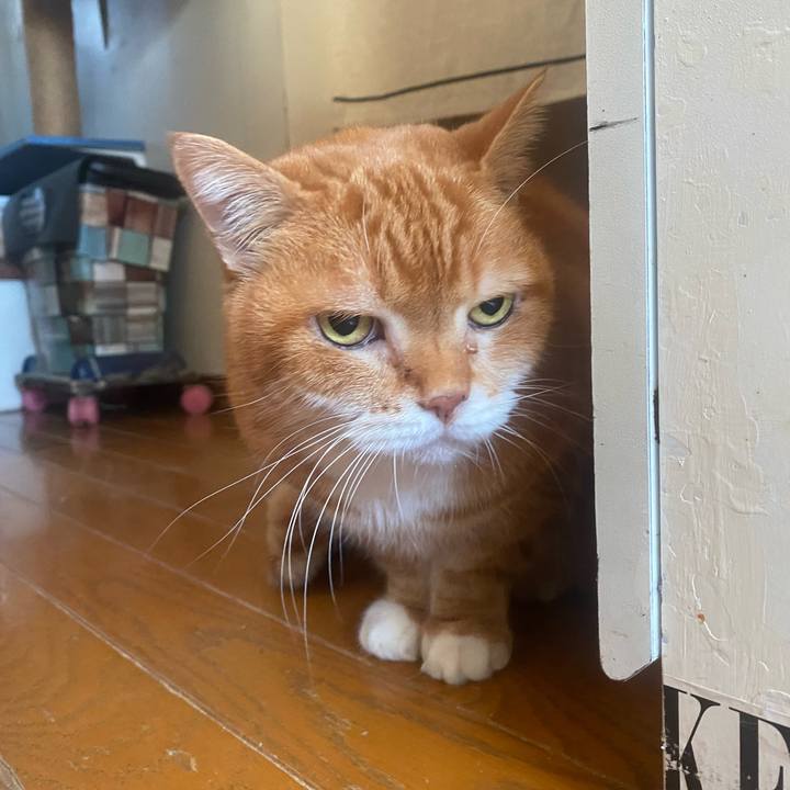 Fdc6100b ca4b 403d ab67 ee38e9dd79cd 1731121174405