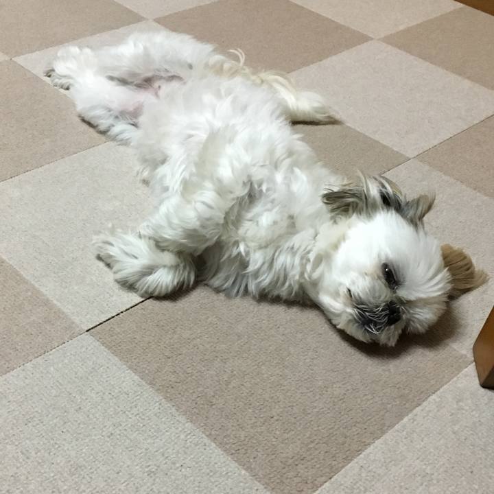 Fdc6169a 925f 4222 a073 b4567151e88a 1557499328454