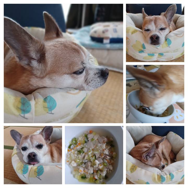 Fdc64d6d 8646 4d2f 83f9 c3d528141902 1751166623385