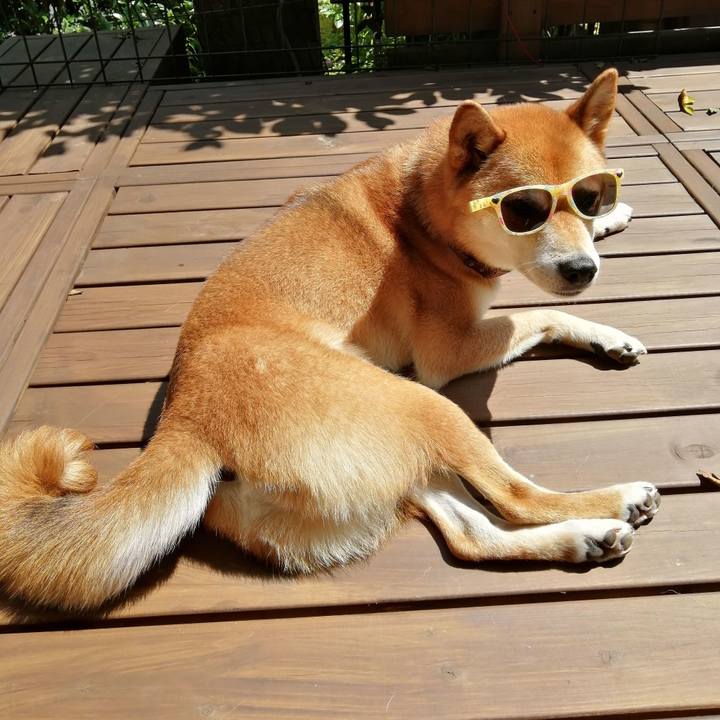 Fdc65ca2 aba2 49f0 80cc e731aa8148fd 1626324157833