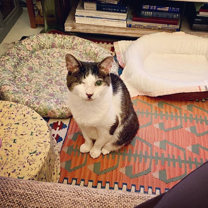 Fdc6919d 3256 4e9b b6fd cff9bae9ec92 1592835958432