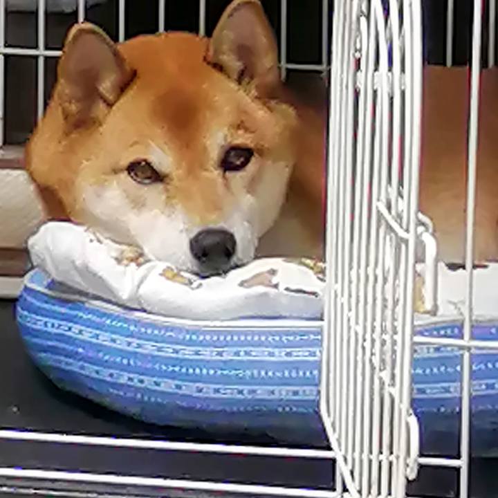 Fdc6a582 d055 44bb b061 9a4ec6a90319 1630388381381