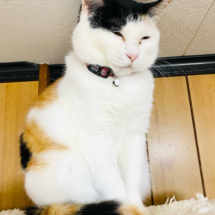 Fdc76686 b8bc 4531 a9ba f6ef8622d8ac 1681076923241