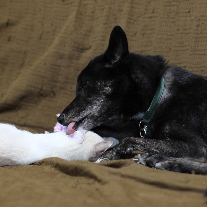 Fdc76b7a a1c6 42d7 a4ca eaf1bc511fdc 1602120901489