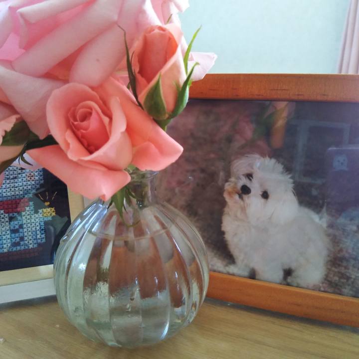 Fdc786cd 848a 44db 912e e5b465597ed4 1589428679094