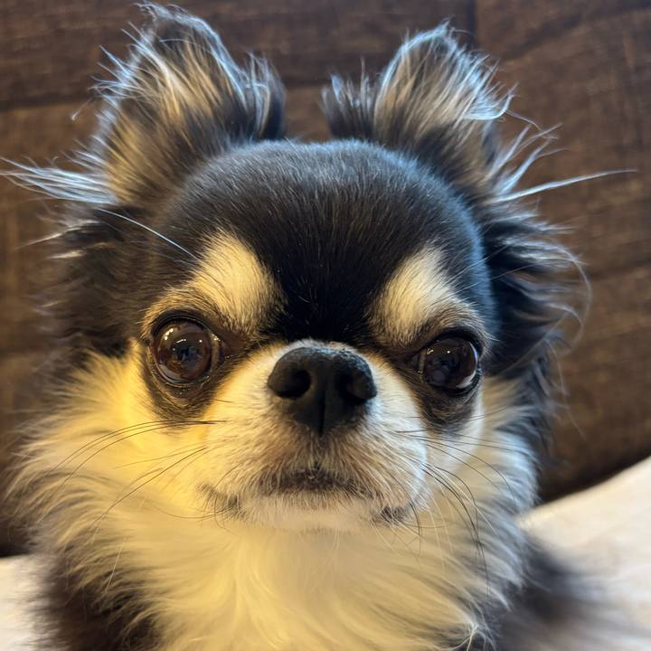 Fdc78bd1 c5bc 4a6d 8c61 d791ab3d4257 1763855199641