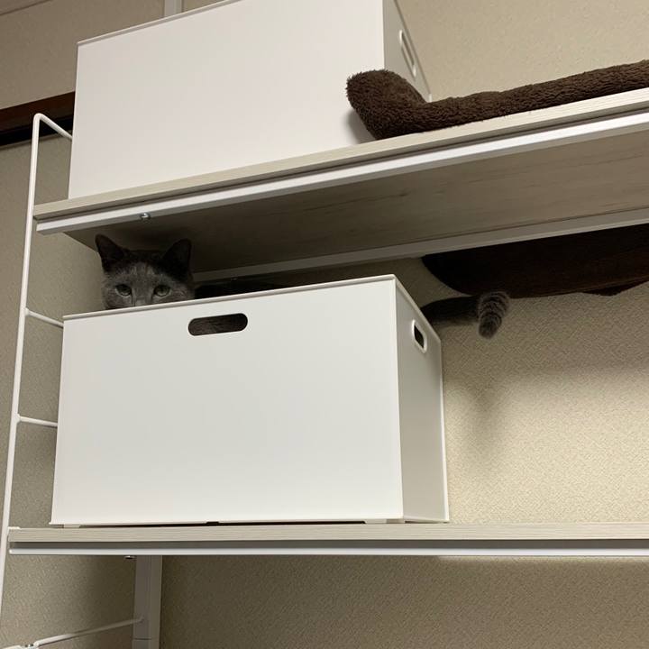 Fdc79b42 69c2 40f0 b58c 12c670918803 1649062887162