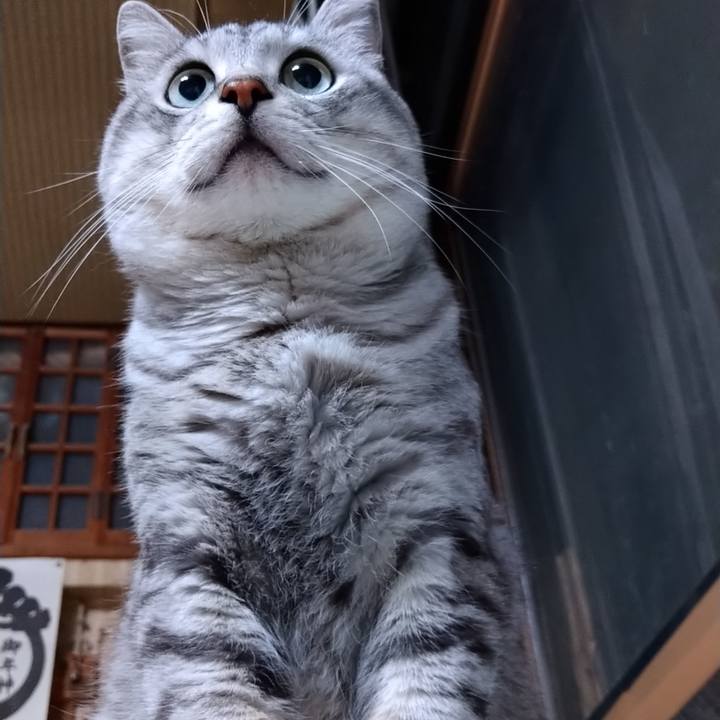 Fdc7c931 aaf9 44e7 a8a4 2f911129e341 1594299568399