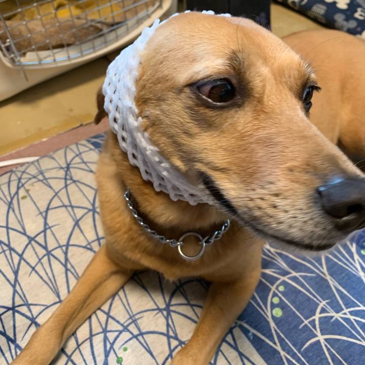 Fdc7da30 180a 4de9 aaad 81c34f551dcc 1568613882478