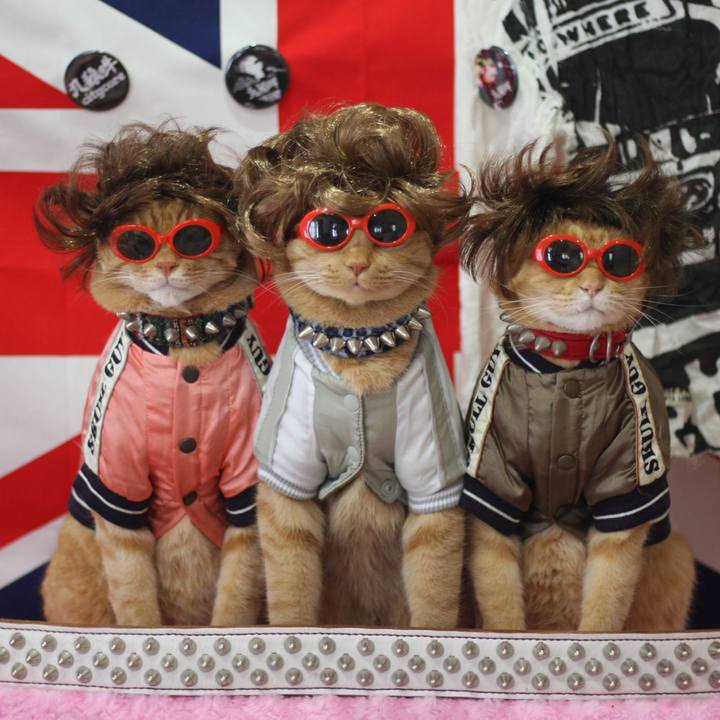 Fdc7def8 8467 45aa 9446 45ad31c86294 1662544631971