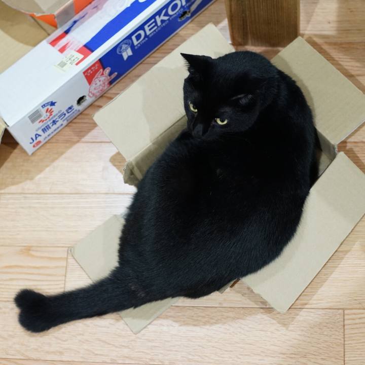 Fdc7f6ab b9b4 465e 873e b9907bd89c53 1533772034931