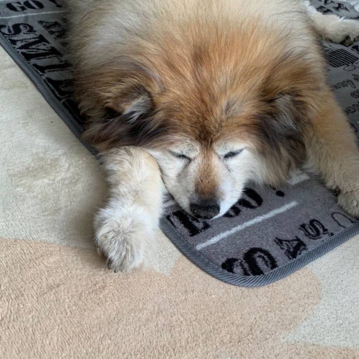 Fdc81d55 244a 496d 83b6 19c87c11d343 1650892958612