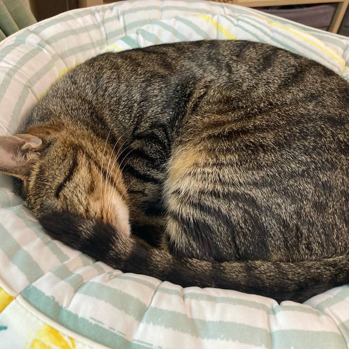 Fdc85373 fd45 4e57 9368 7189d0a53e1c 1719478814862