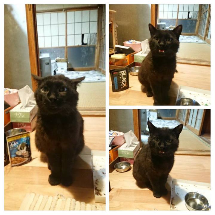 Fdc859f2 7b8d 404c b982 f473094b449e 1622803628377