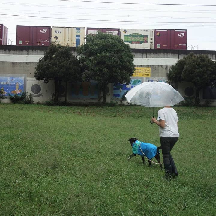 Fdc86209 5d60 4566 aac6 228c075fa071 1696378701408