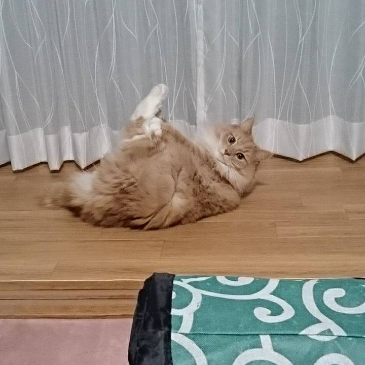 Fdc86934 c6eb 42ac 9e56 fc87a2480e7a 1509449242322