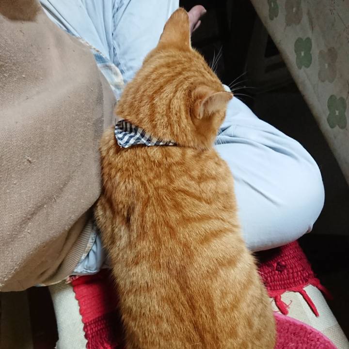 Fdc87684 7619 4031 8534 efe41803219d 1568890735785