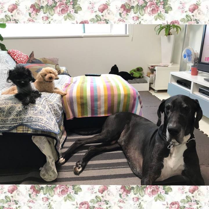 Fdc8927b f415 4884 925b 6264a8fcbe41 1527634130246