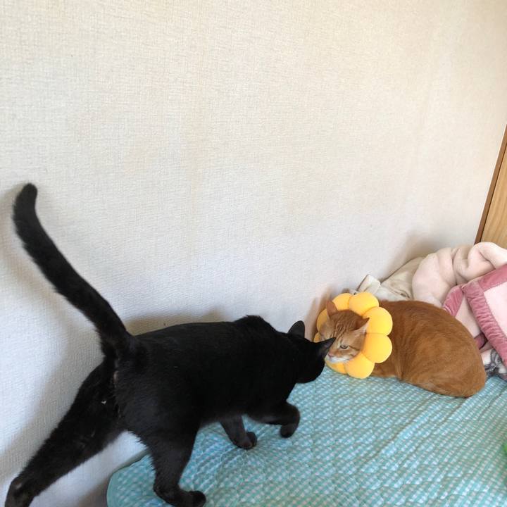 Fdc8d326 7ef8 4ffd b296 ad805babad99 1659753720521