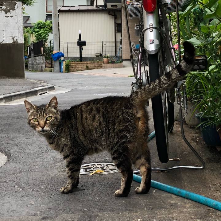 Fdc90562 9e46 4f90 af2c 3f5b85d25e6e 1525315345956