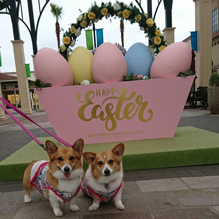 Fdc925b9 1c0d 4f2d 9222 893c59b3c1f5 1556353681896